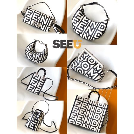 Fendi bag 002